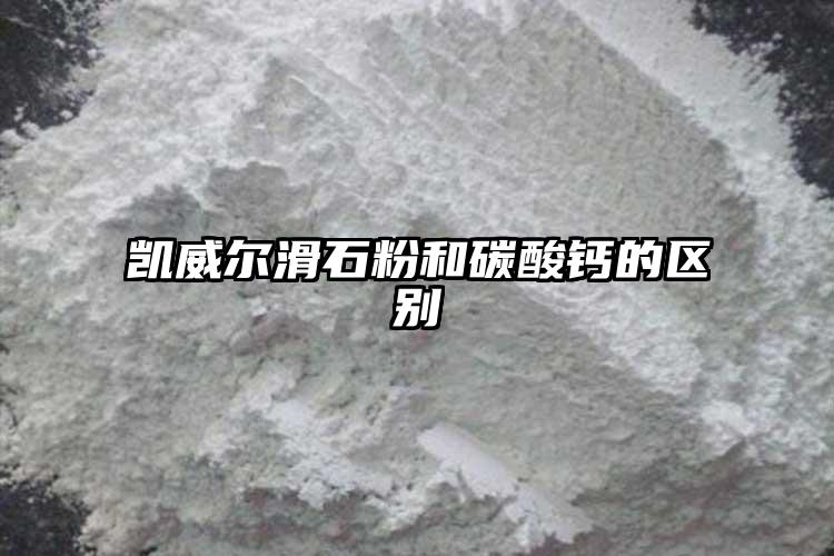 葡萄视频葡萄视频污版app下载和碳酸钙的区别