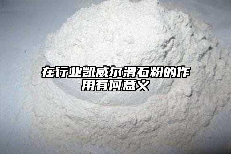 在行业葡萄视频葡萄视频污版app下载的作用有何意义